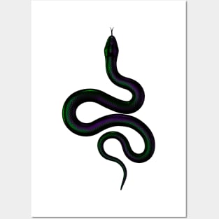 Rainbow Real Snake purple and green Posters and Art